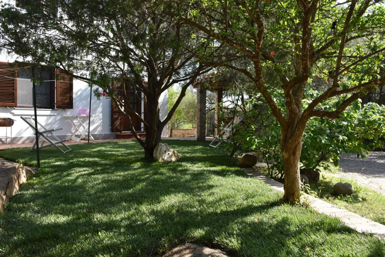 Villa Juniper 圣玛丽亚纳瓦雷 外观 照片